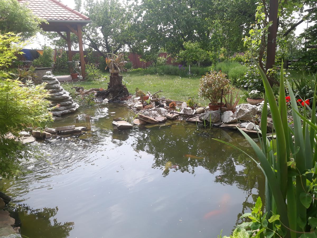Pension Zeleny Strom Mikulov Extérieur photo