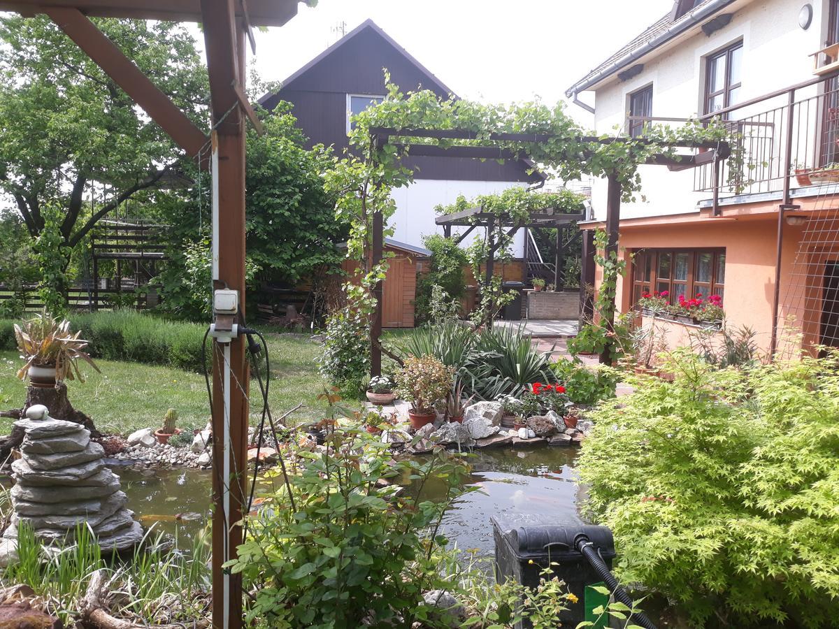 Pension Zeleny Strom Mikulov Extérieur photo