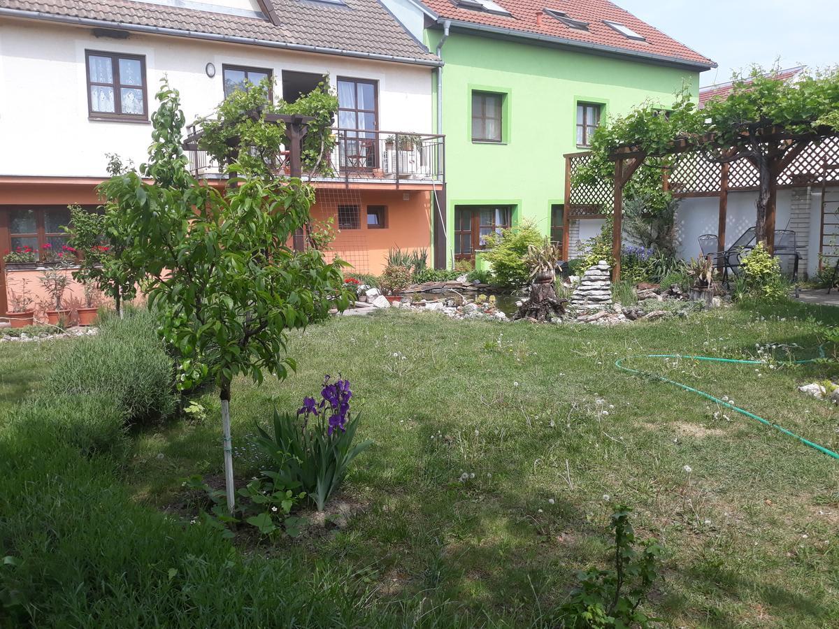 Pension Zeleny Strom Mikulov Extérieur photo